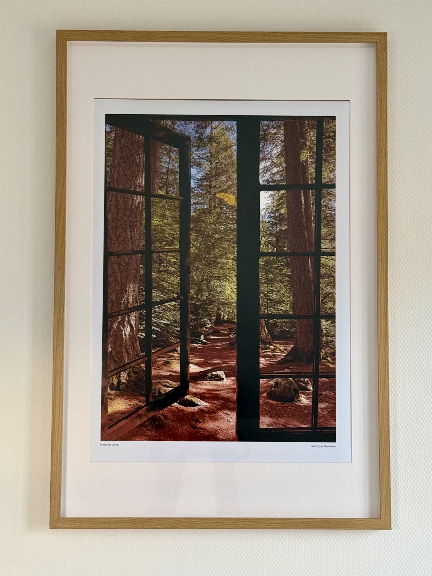 Naturlig udvej