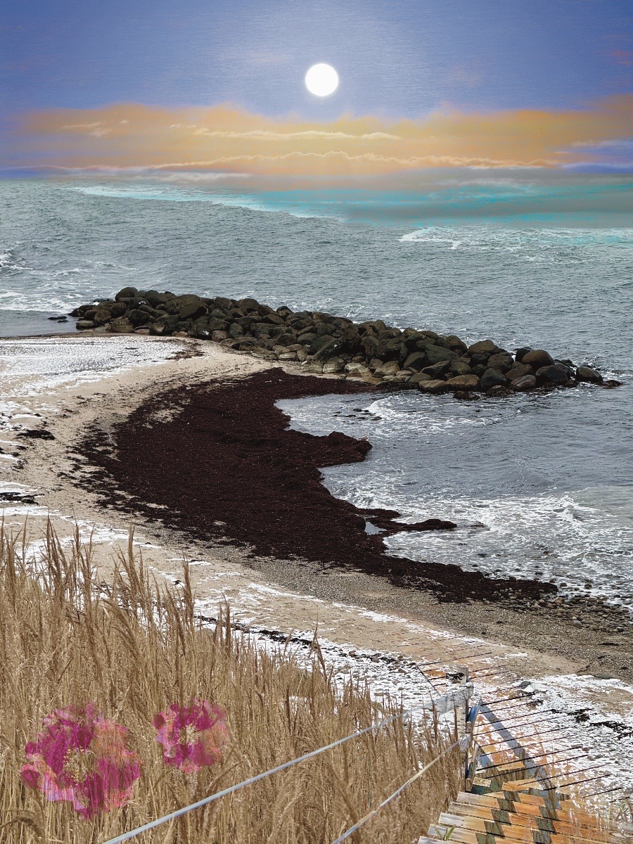 En ganske særlig dag