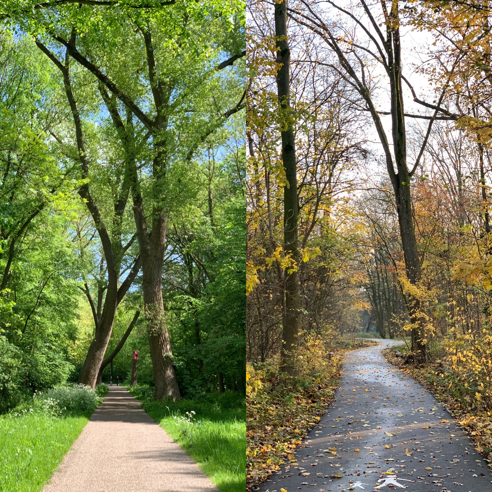 Landsby idyl og historiske dæmninger lige om hjørnet fra det centrale Amsterdam