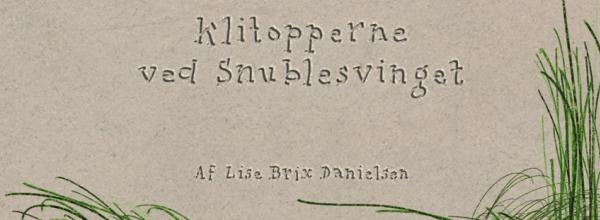 Klitopperne ved Snublesvinget