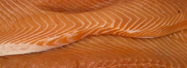 Laks med appelsinskal og sennep